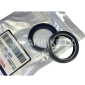 Hornet Fork Oil Seal Couple
